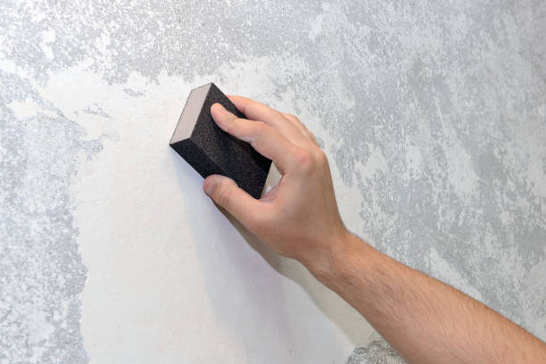 Professional Mold Removal in Gainesville, TX