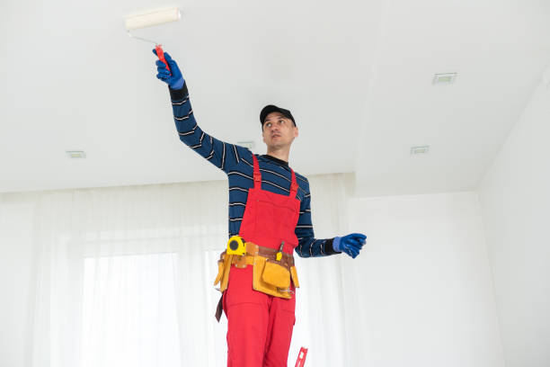 Forensic Mold Investigation in Gainesville, TX
