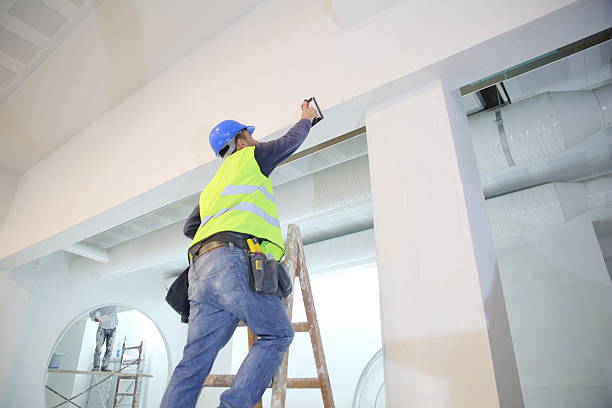 Best Environmental Consulting for Mold Prevention  in Gainesville, TX
